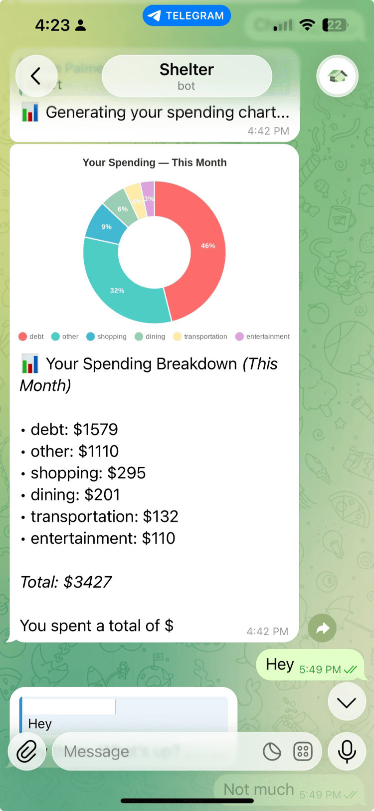 Shelter's spending breakdown showing subscription costs